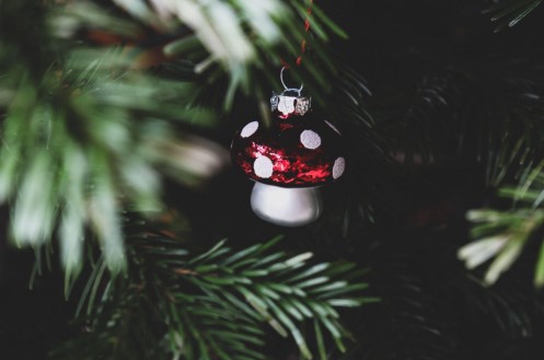 Timeless Christmas Wreaths for a Festive Home